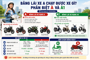 Bằng lái xe A chạy được xe gì? Phân biệt A và A1